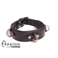 Avalon - VICTORY - Enkelt Collar med D-ringer og polstring, Sort 