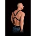 Ouch! Adonis High Halter - Harness 