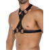 H4rness C4M - Justerbar Harness H4rness C4M - Justerbar Harness