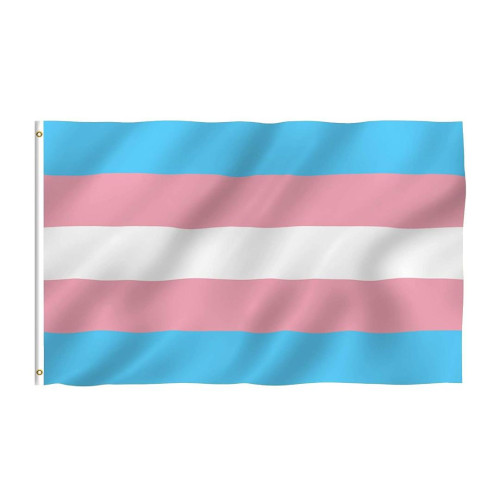 Trans Pride Flagg 90cm x 150cm