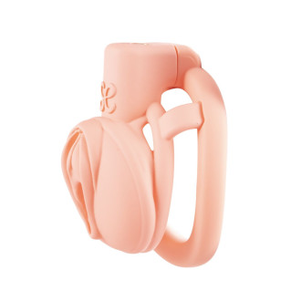 Sevanda - Pink Pride - Kyskhetsbur - Kort