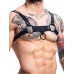 H4rness C4M - Party Harness - Sort