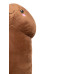 Penis Plushie - Penis Kosebamse - 60 cm - Brun 